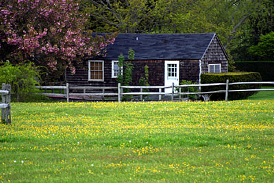 Sagaponack Spring